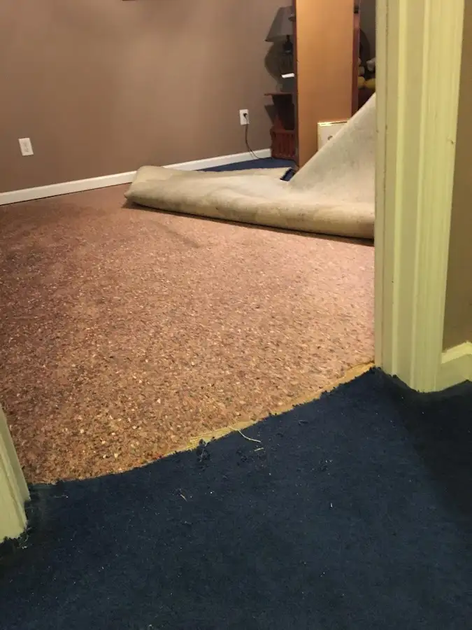 Carpet pad removal revealing water damage during Water Mitigation Services in Williston