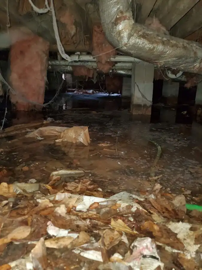 Crawl space flood assessment for Leak Detection & Repair in Williston