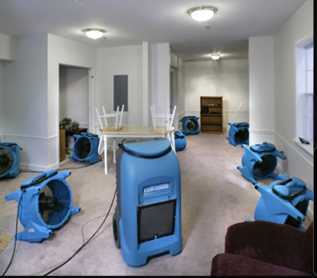 Air movers and dehumidifier setup for Water Extraction & Removal in Williston